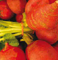 Organic radishes