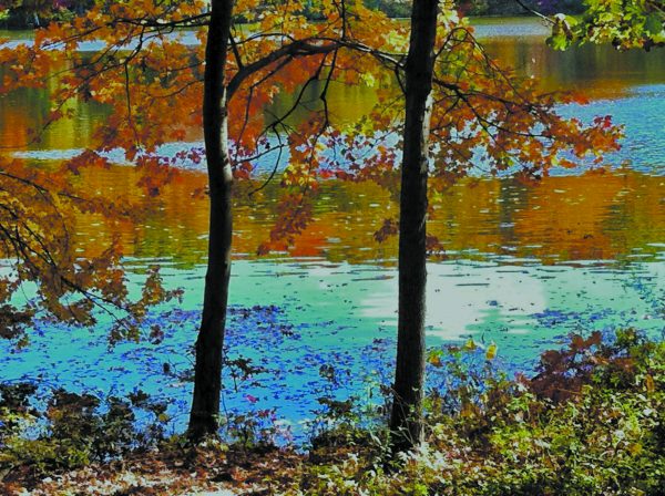 Monet-like Foliage. Cross River Reservoir, Pound Ridge.